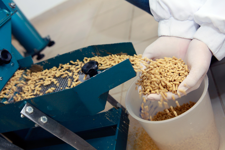 Elaborar alimentos utilizando la extrusión