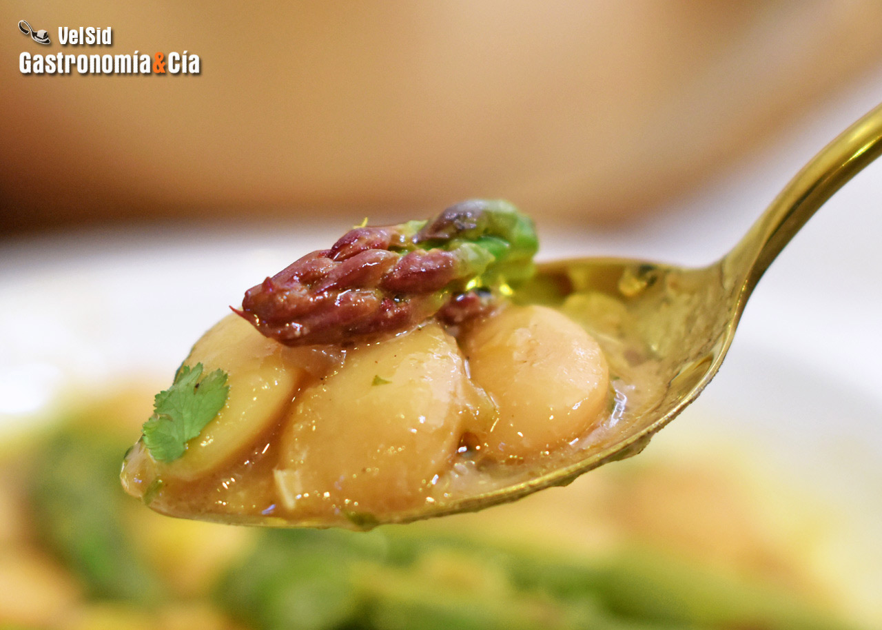 Recetas vegetarianas fáciles