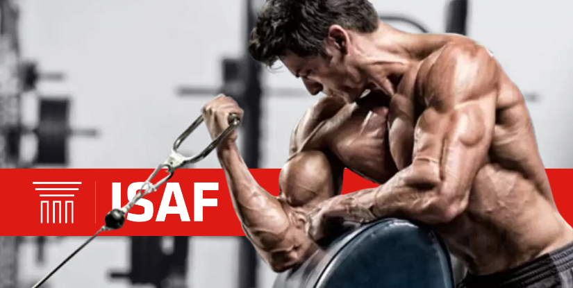 Los 5 entrenos más eficaces para la Hipertrofia Muscular